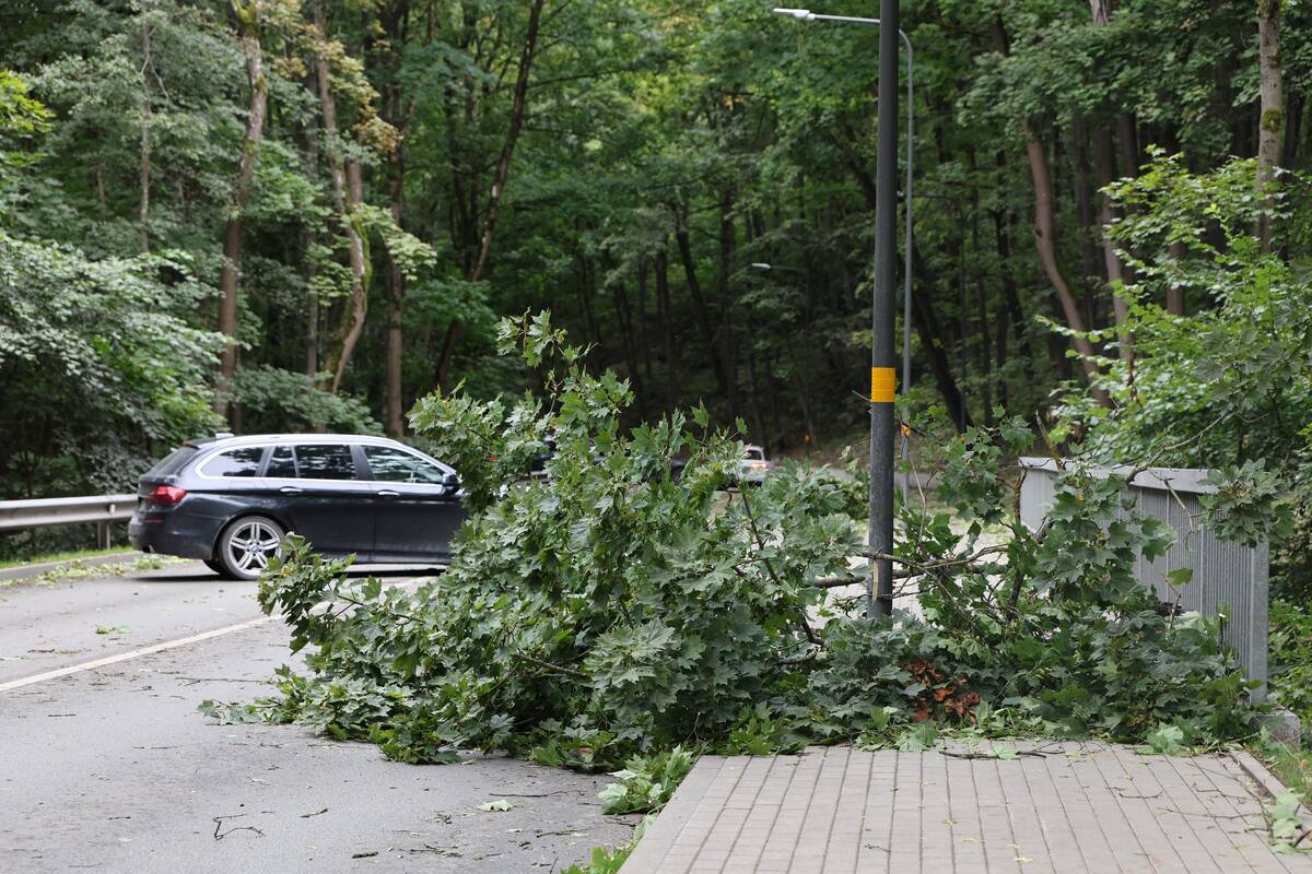 Kauną nusiaubė galinga audra