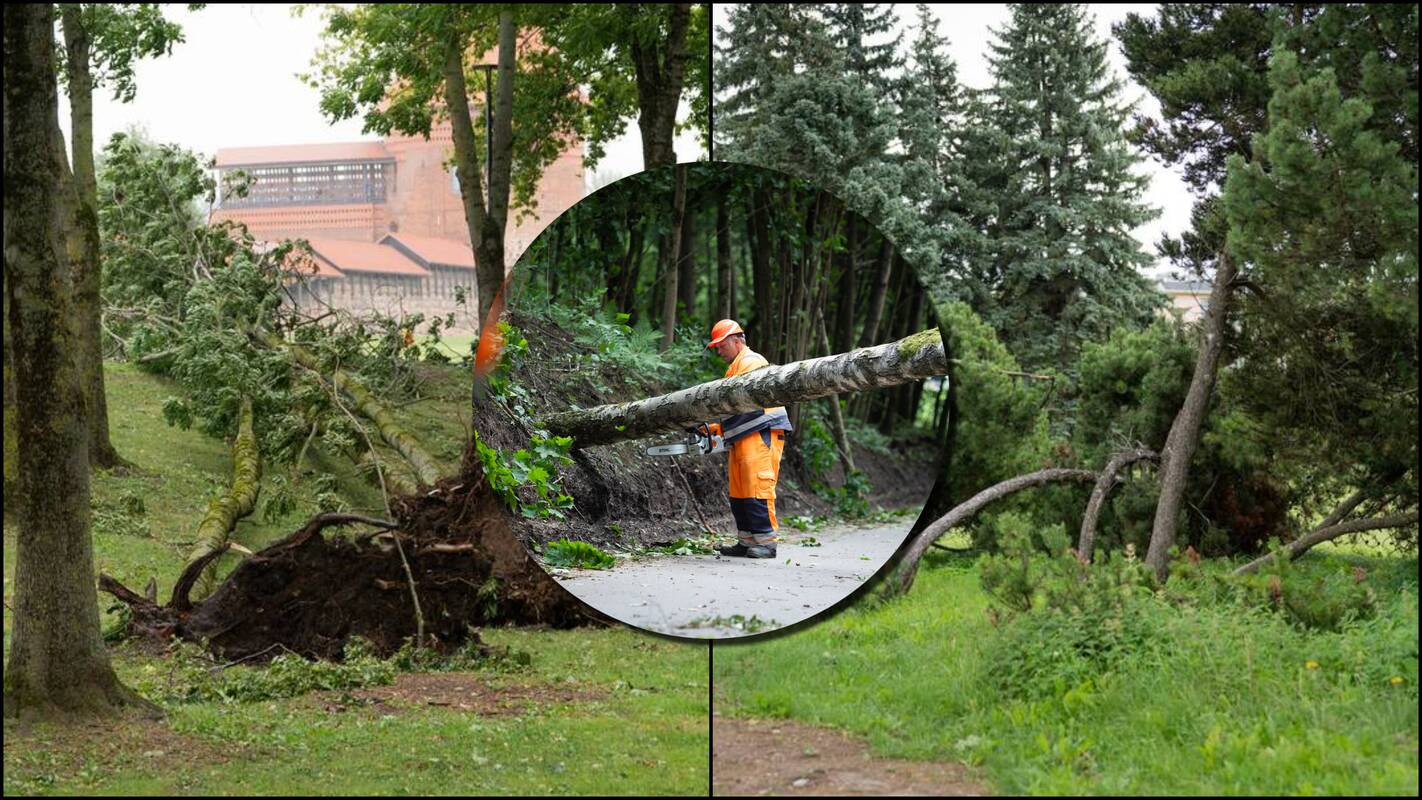 
<span>Be vandens, elektros ir mobiliojo ryšio: savivaldybės dorojasi su audros padariniais</span>

