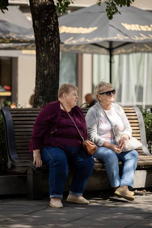 Kauniečių diena (2026-08-19)