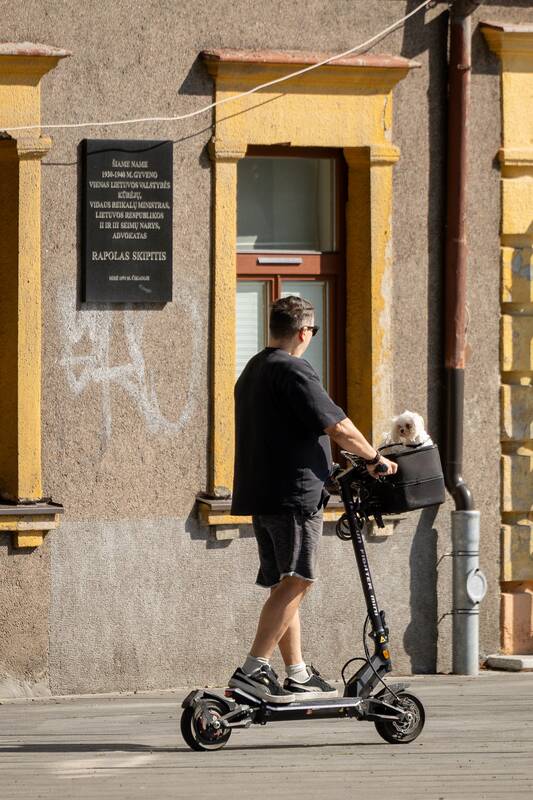 Kauniečių diena (2026-08-21)