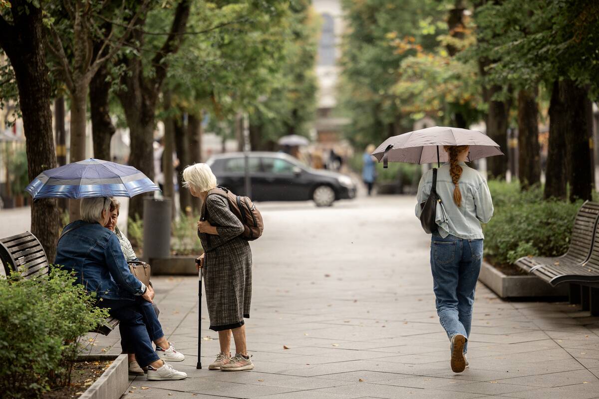 Kauniečių diena (2026-08-25)