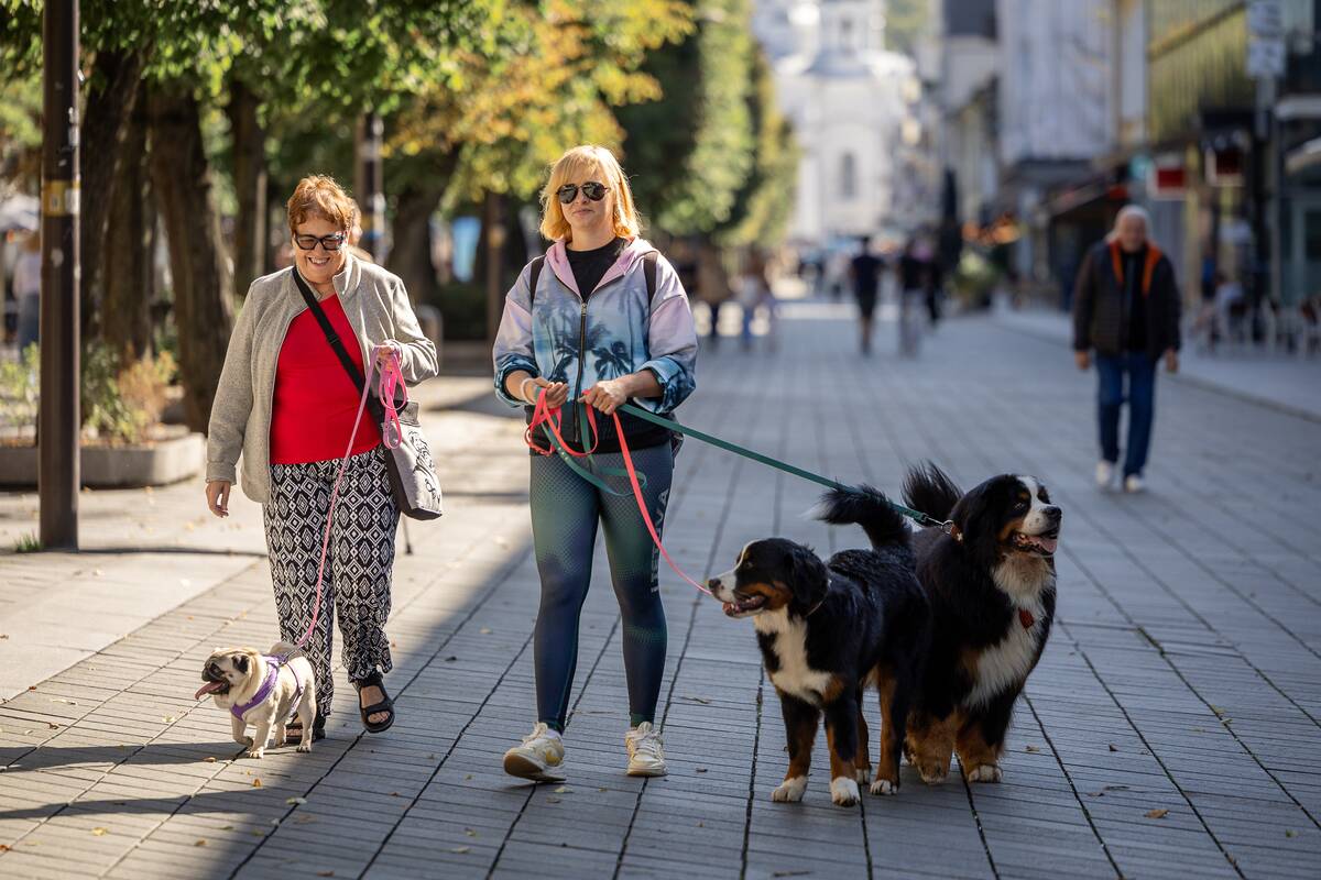 Kauniečių diena (2026-08-27)