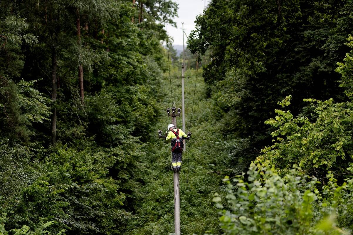 
<span>Savickas pranešė, kas padės Lietuvai atkurti elektros tiekimą</span>
