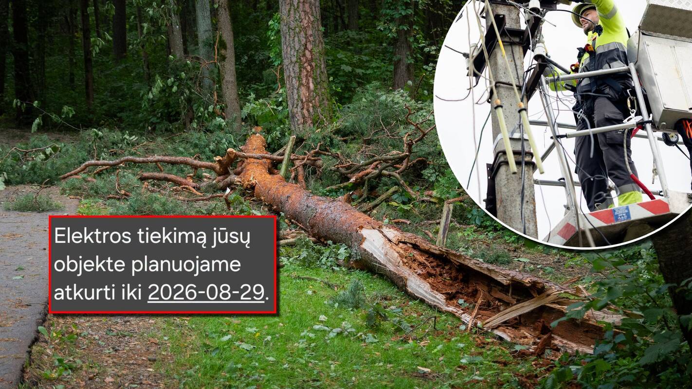 
<span>Savaitė po audros: dešimtys tūkstančių žmonių – vis dar be elektros</span>
