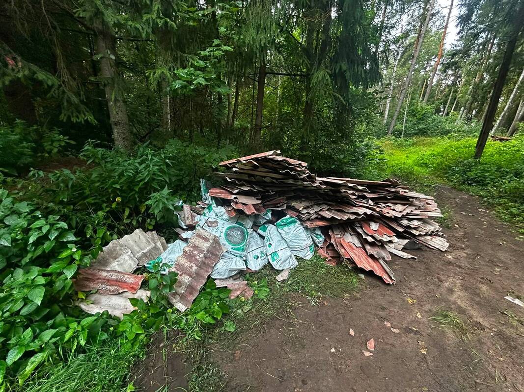 Tarša: Šernų miške išversta didžiulė statybinių atliekų krūva – kalnas aplinkai pavojingo seno šiferio.