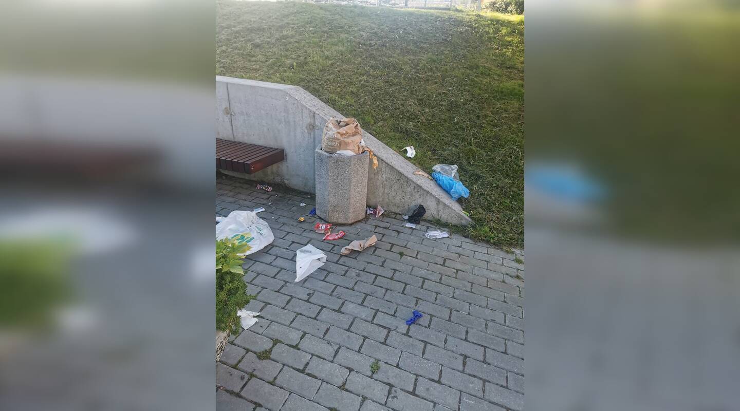 Netvarka: prie Vingio pasažo esančios šiukšliadėžės turinys, pasak gyventojų, neretai atsiduria ant šaligatvio.