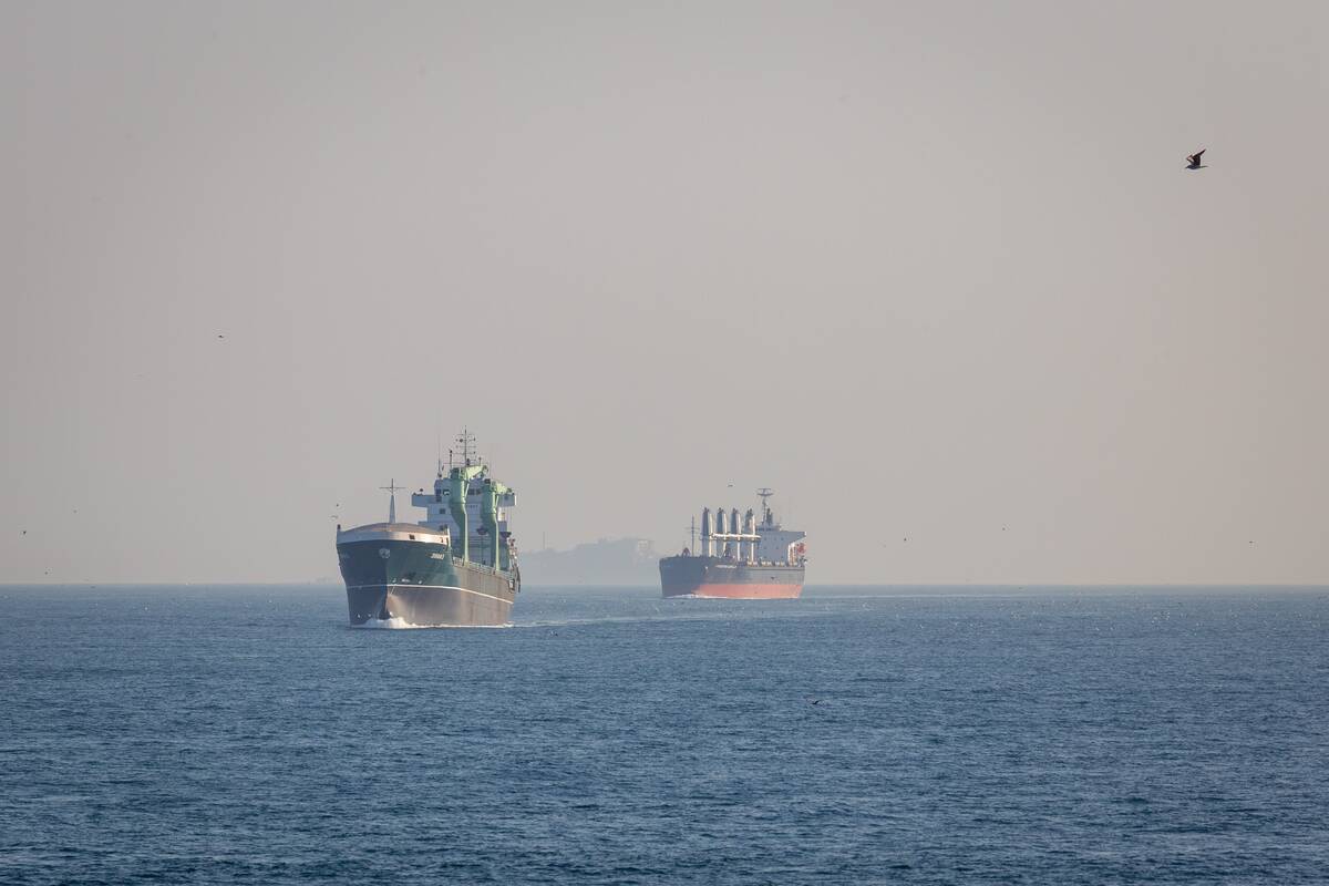 
<span>Turkijos krovininiam laivui Juodojoje jūroje smogė dronai</span>
