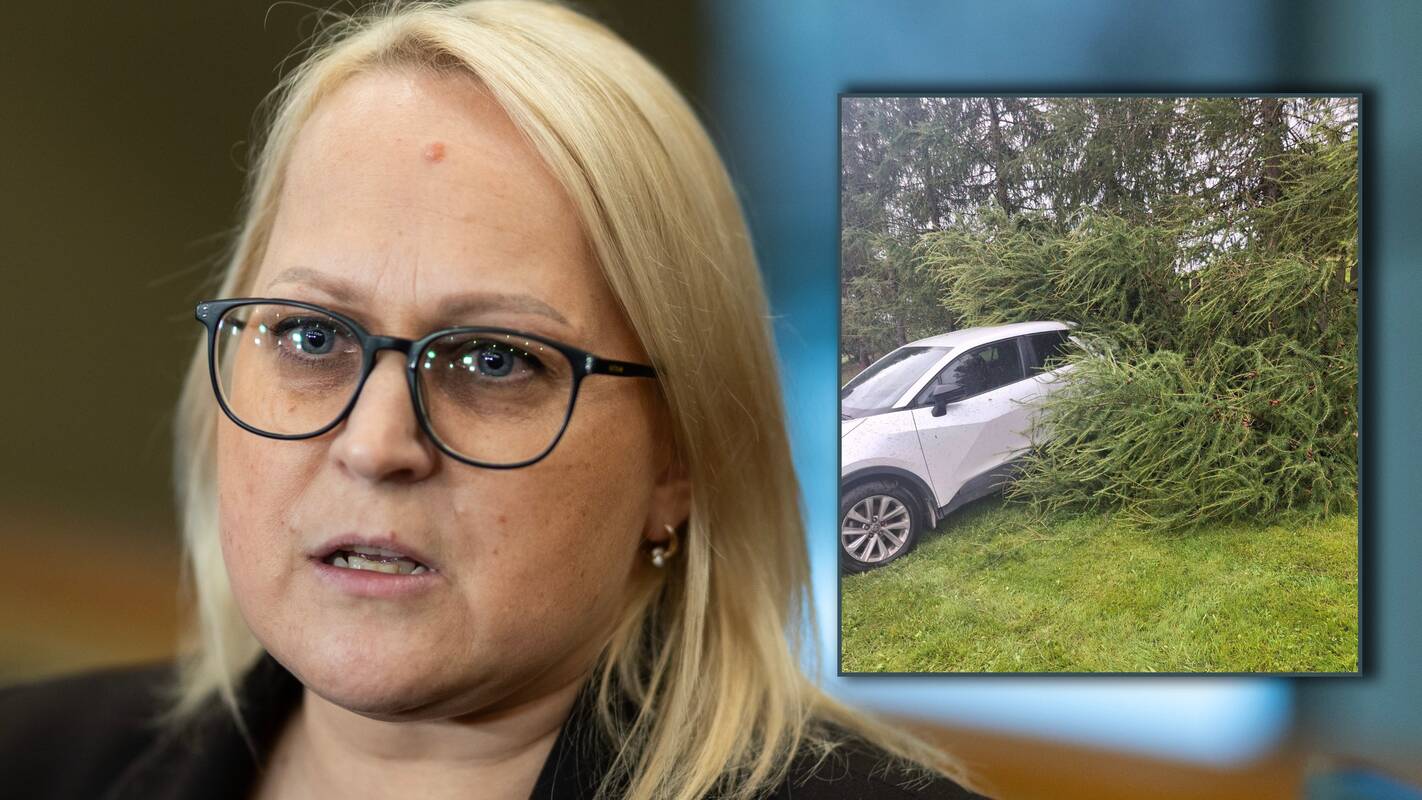
<span>Audra smogė Seimo narei: gerai, kad nebuvo keleivių</span>
