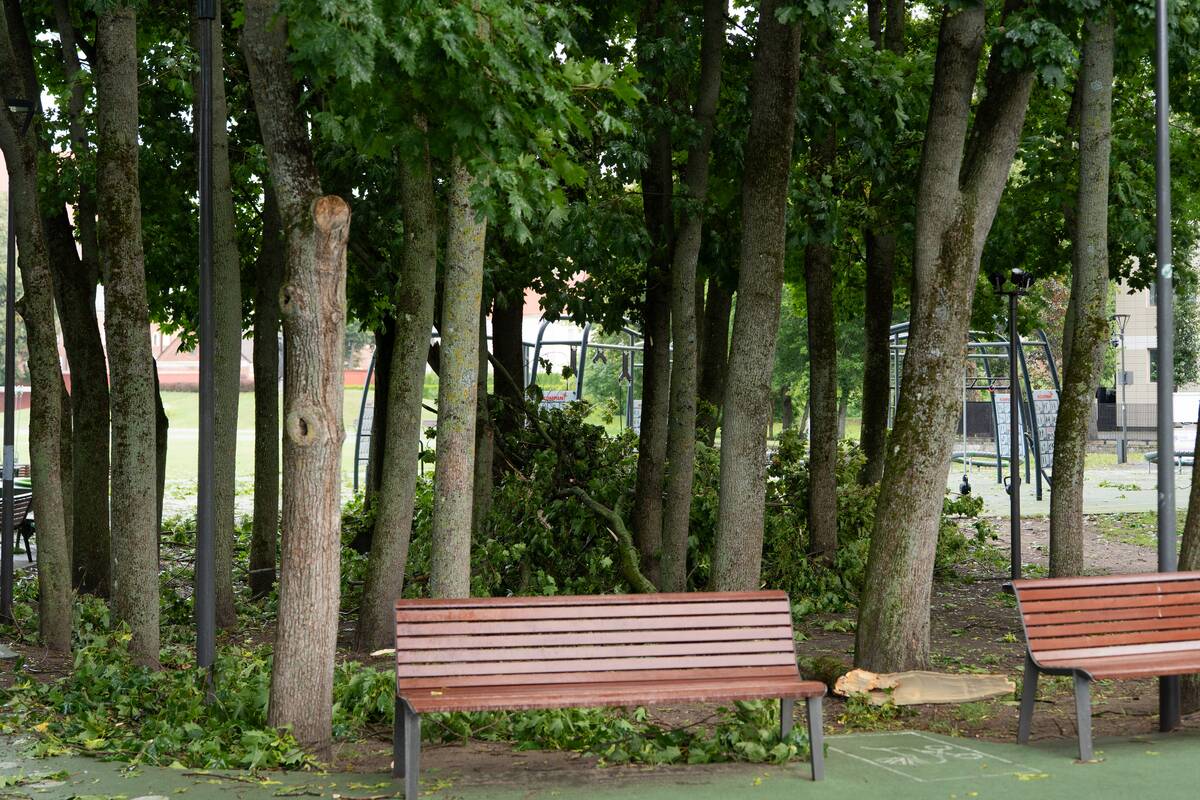 Audros padariniai Kaune