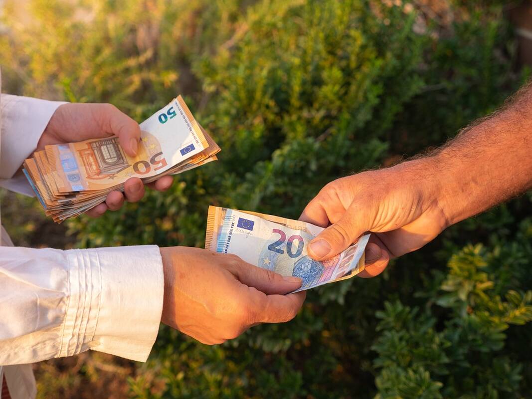 
<span>Mažeika paskelbė, kada 20 mln. eurų parama pasieks ūkininkus</span>
