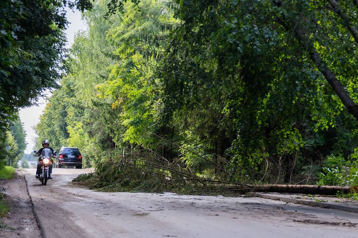 
<span>Savickas ir Olekas: turi būti spartinamas požeminių kabelių tiesimas</span>
