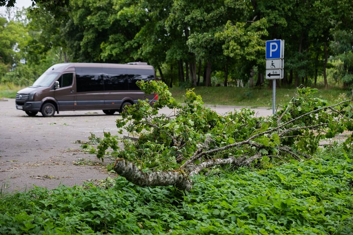 
<span>Kontrolė: silpnąsias vietas turime tvarkyti ne tada, kai jau tenka šalinti krizės padarinius</span>
