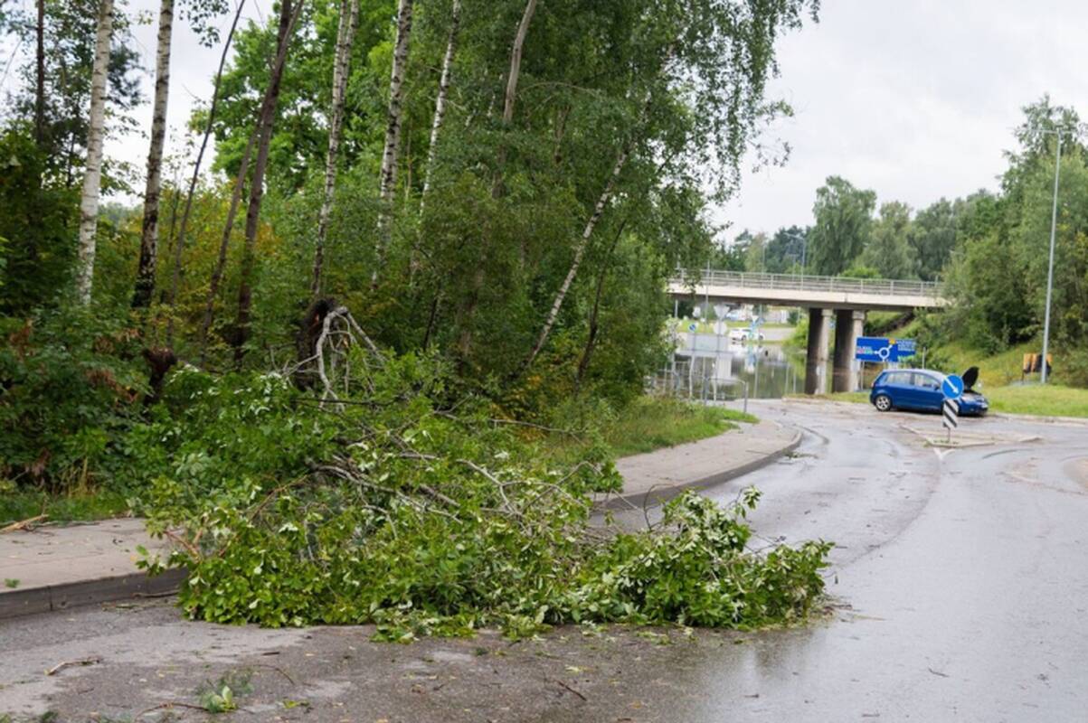 
<span>„Grinda“: ketvirtadienį Vilniuje dėl tikėtinos audros galimi gatvių užtvindymai, eismo sutrikimai</span>
