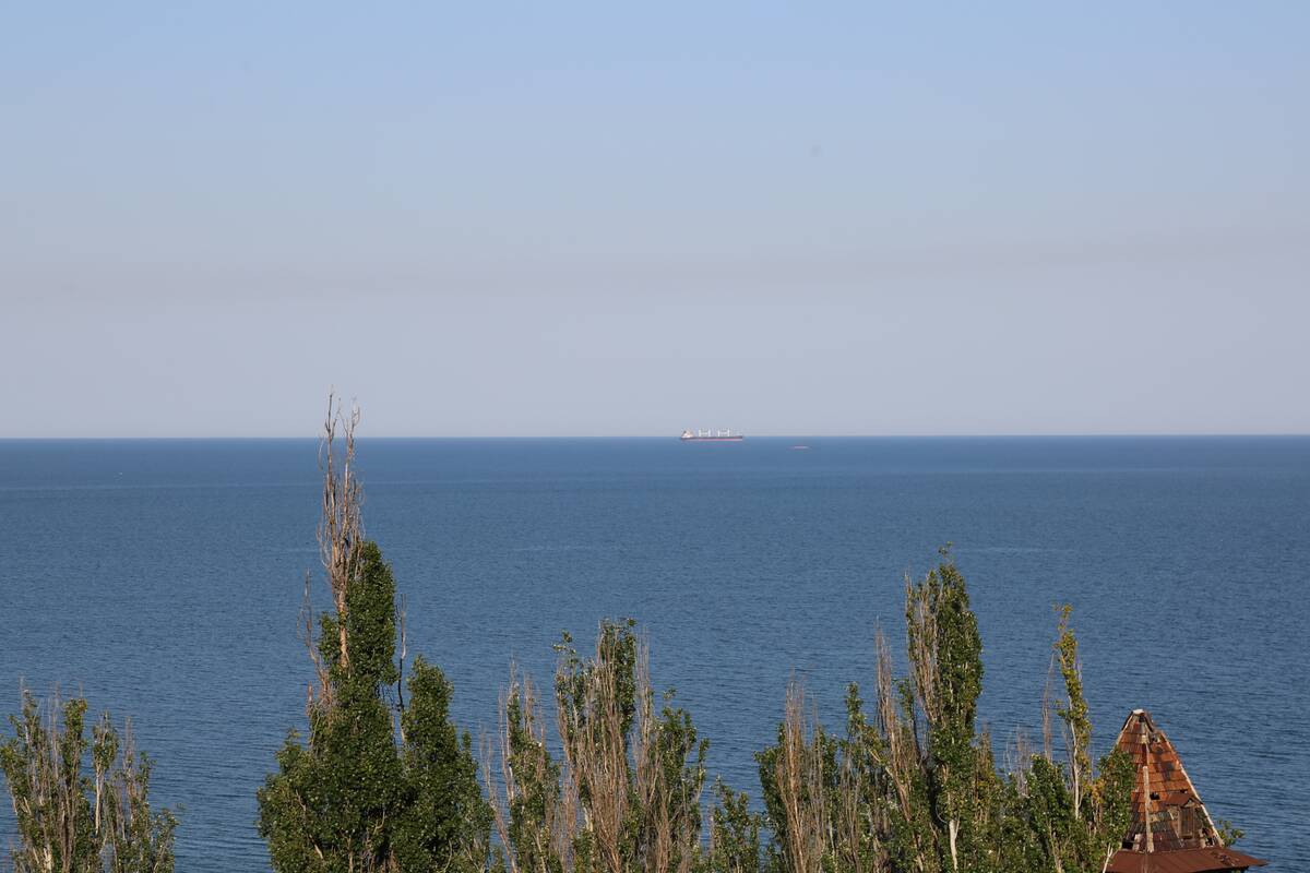 
<span>Rusija: per Ukrainos smūgius Juodosios jūros kurorte ir Kryme žuvo 11 žmonių </span>
