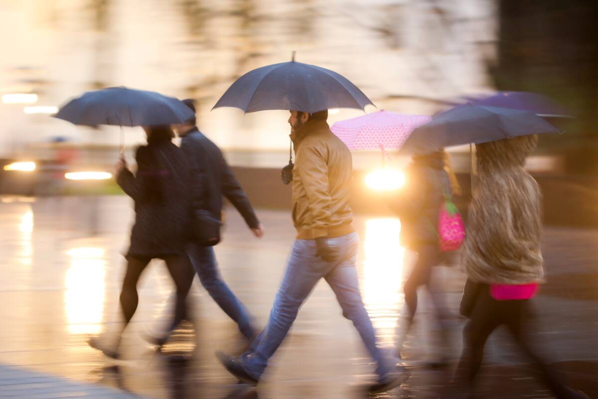 
<span>Ruduo jau ruošiasi perimti vietą: lis lietus, griaudės perkūnija</span>
