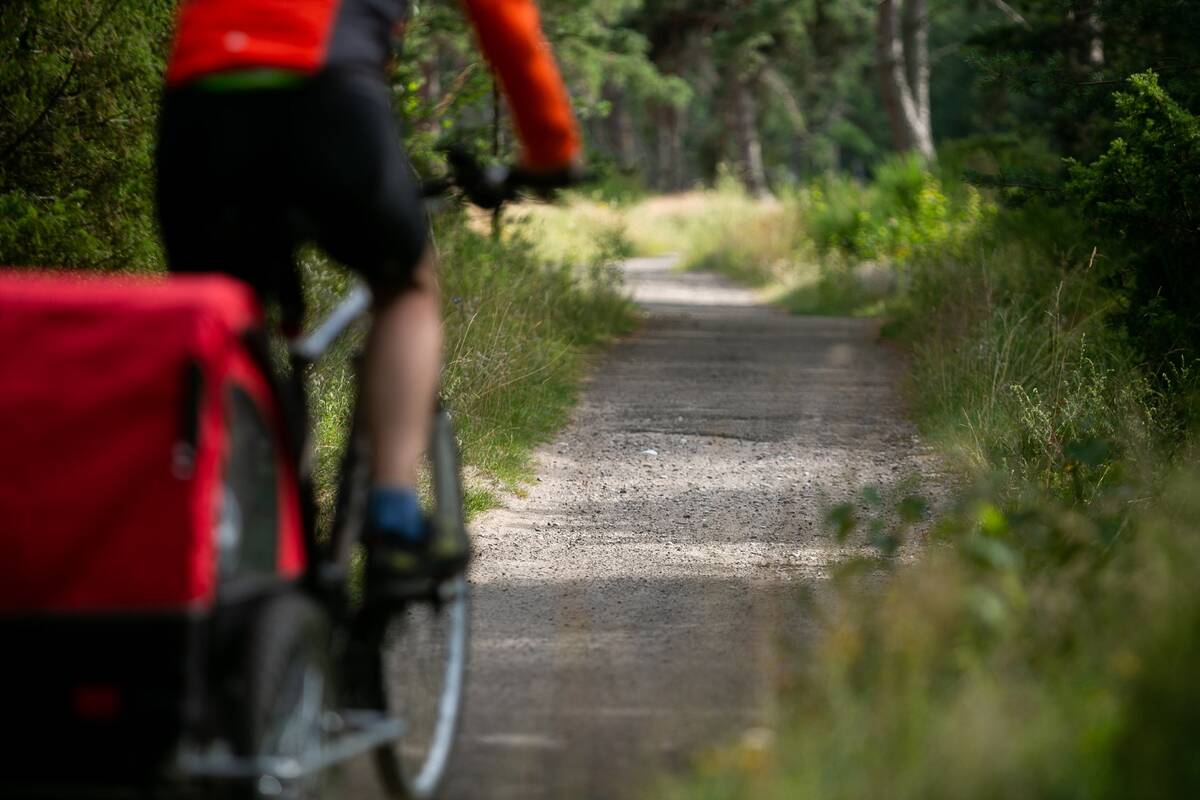 
<span>Dviračių tako kelyje Kretinga-Vydmantai rekonstrukcija išbrango daugiau nei milijonu eurų</span>
