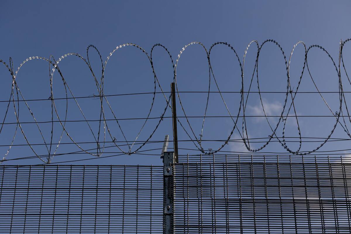 
<span>Pasienyje su Baltarusija apgręžti devyni neteisėti migrantai</span>
