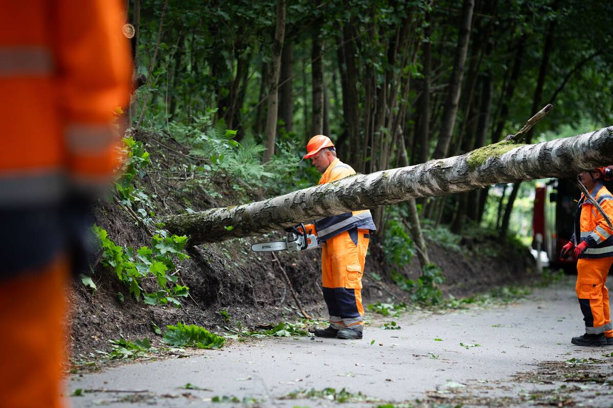 
<span>Elektros po prieš daugiau nei dvi savaites siautusios audros dar neturi apie 1,2 tūkst. klientų</span>
