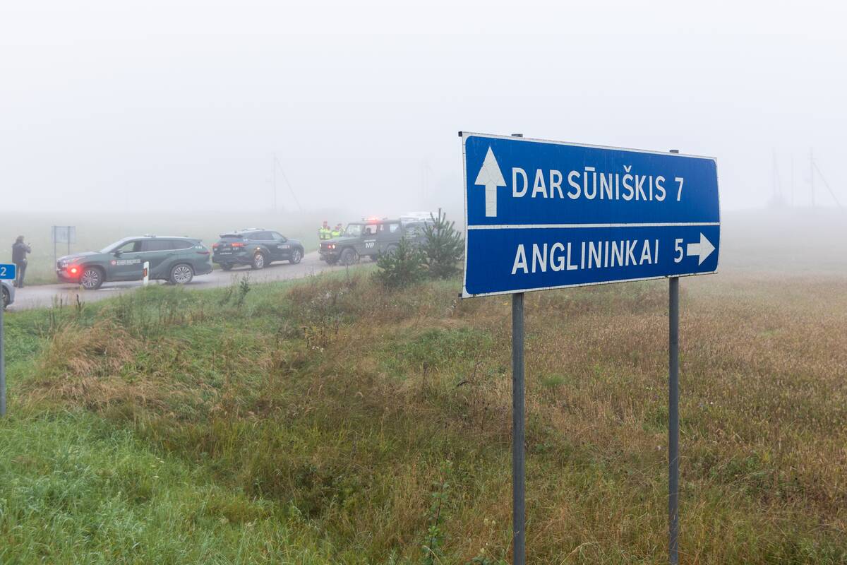 Rytas po drono numušimo: budi policijos pajėgos