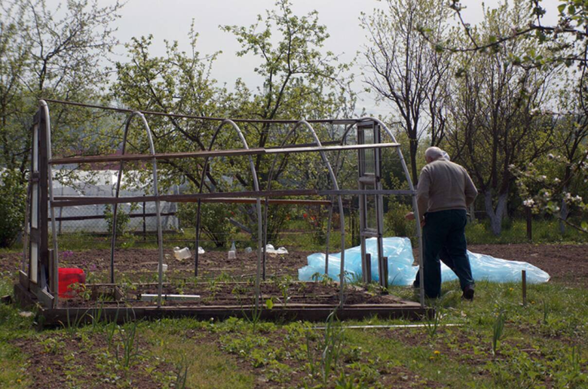 
<span>Seimas svarstys, ar leisti soduose statyti mažus namus be projektų ir leidimų</span>
