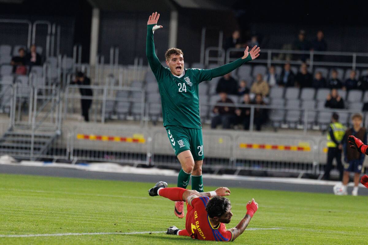 Kontrolinės futbolo rungtynės: Lietuva – Andora