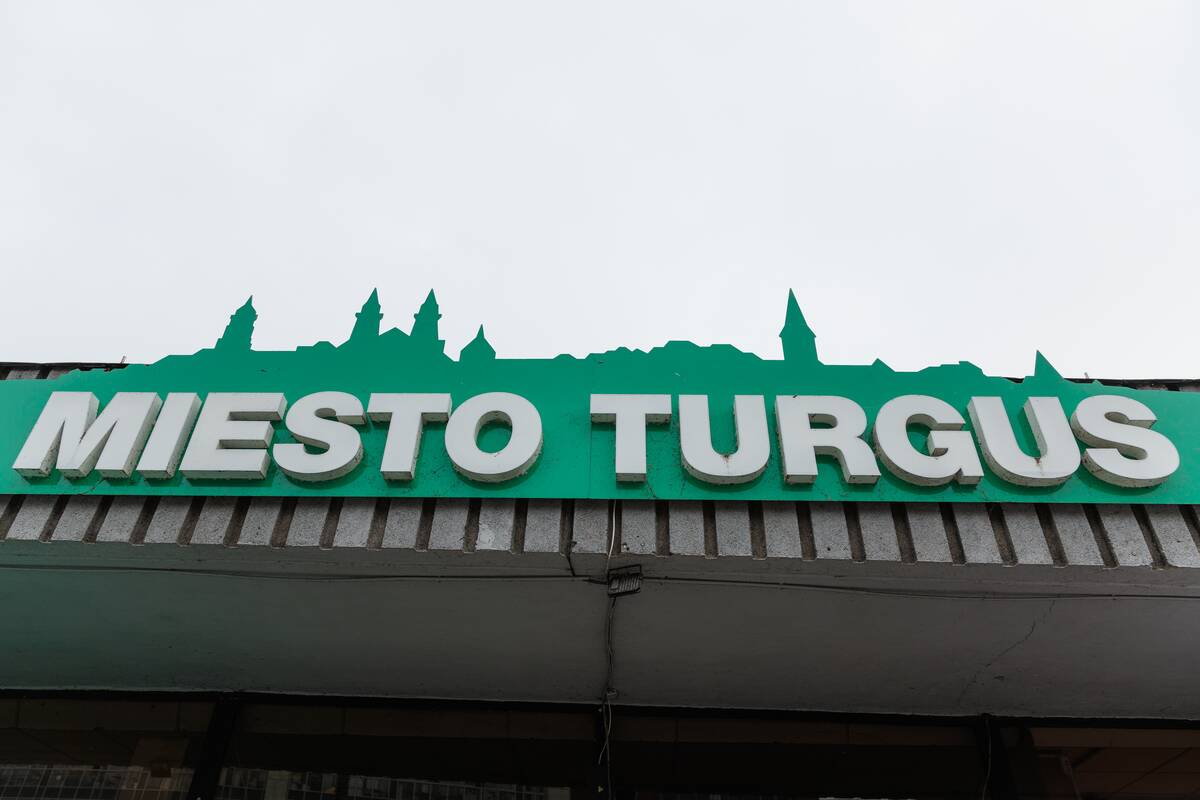 Turguje – grybų įvairovė