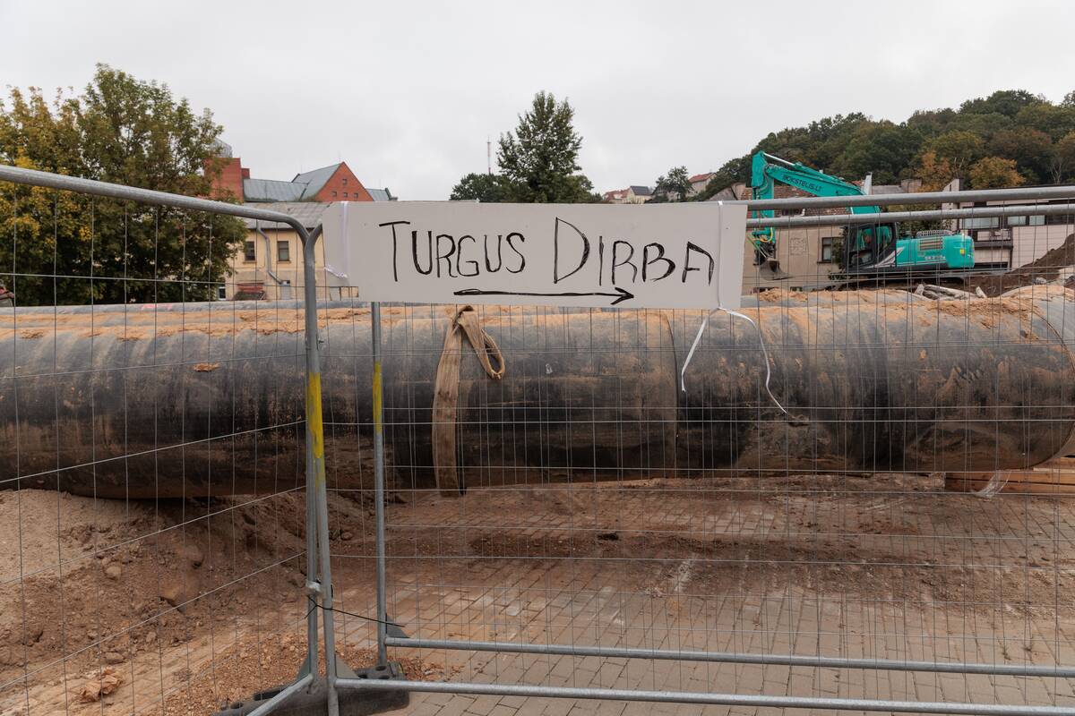 Turguje – grybų įvairovė