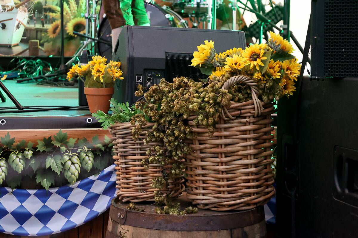 Klaipėdos piliavietėje prasidėjo festivalis „Oktoberfest“