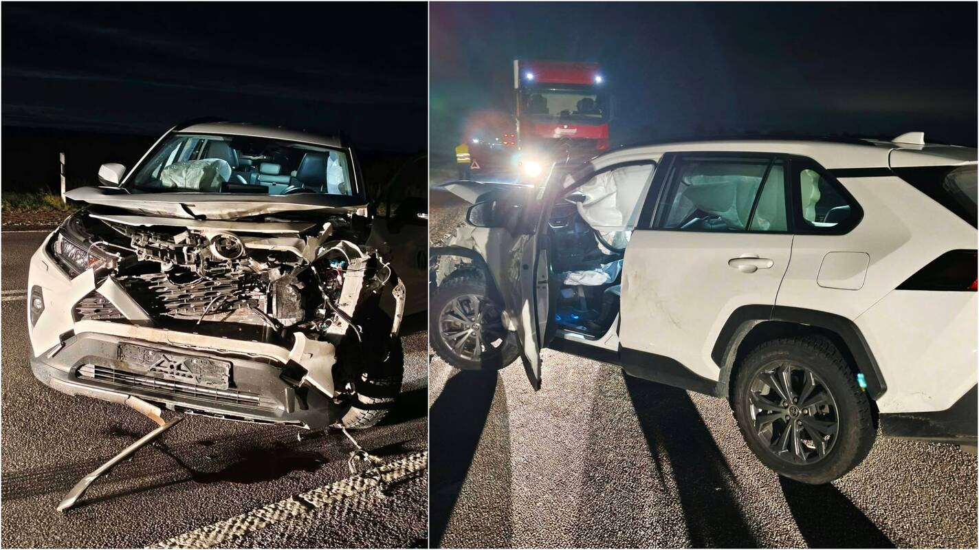 
<span>Kelyje – automobilio susidūrimas su penkiais elniais</span>
