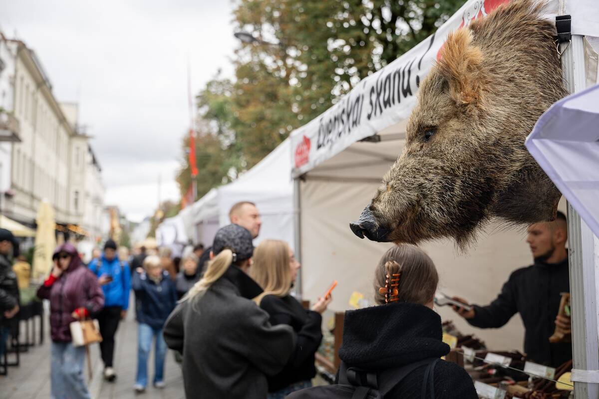 Kauno mugės pirmoji diena
