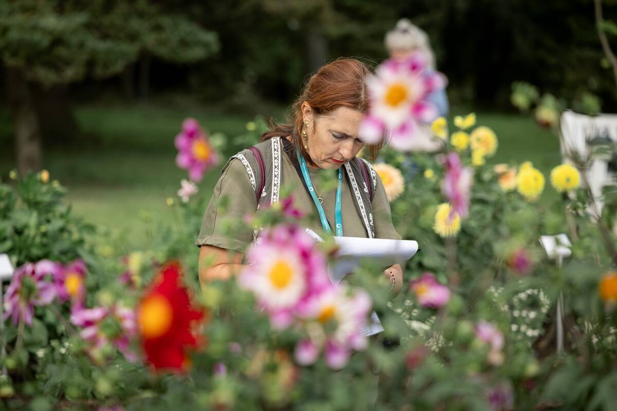 Tarptautinis jurginų festivalis ir konkursas Kaune