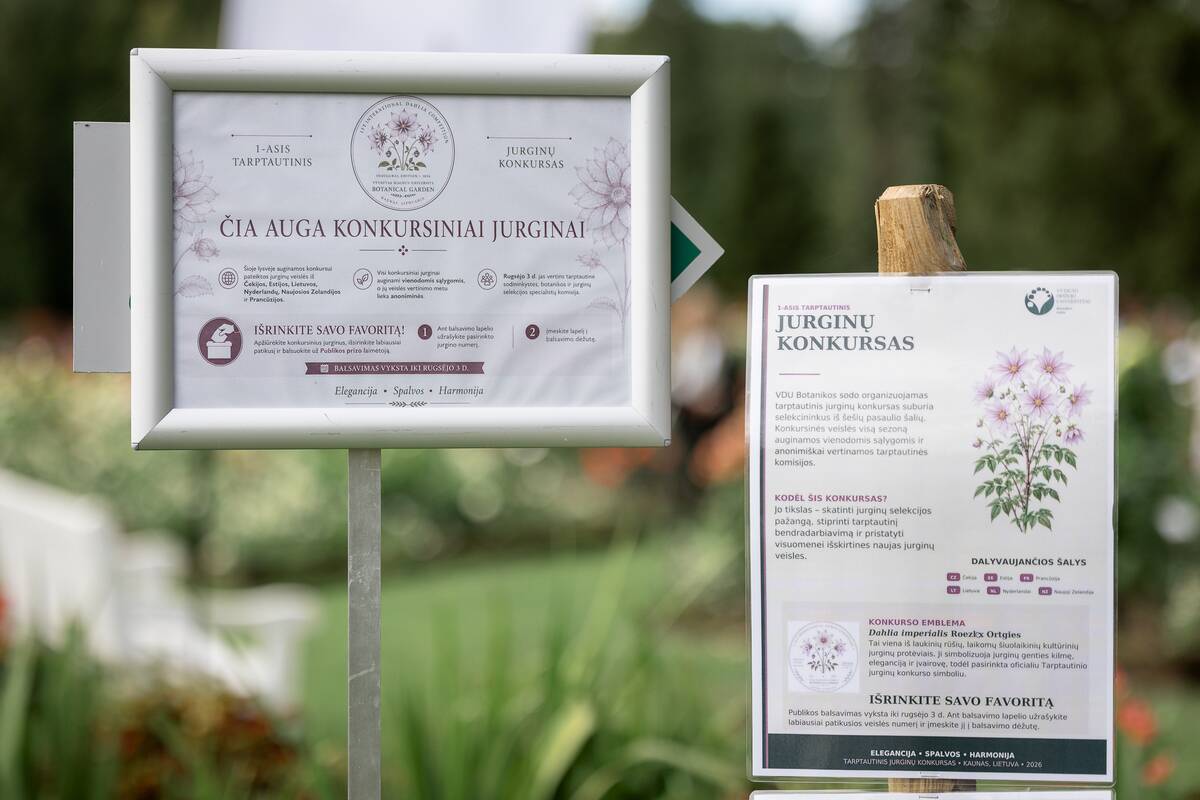 Tarptautinis jurginų festivalis ir konkursas Kaune