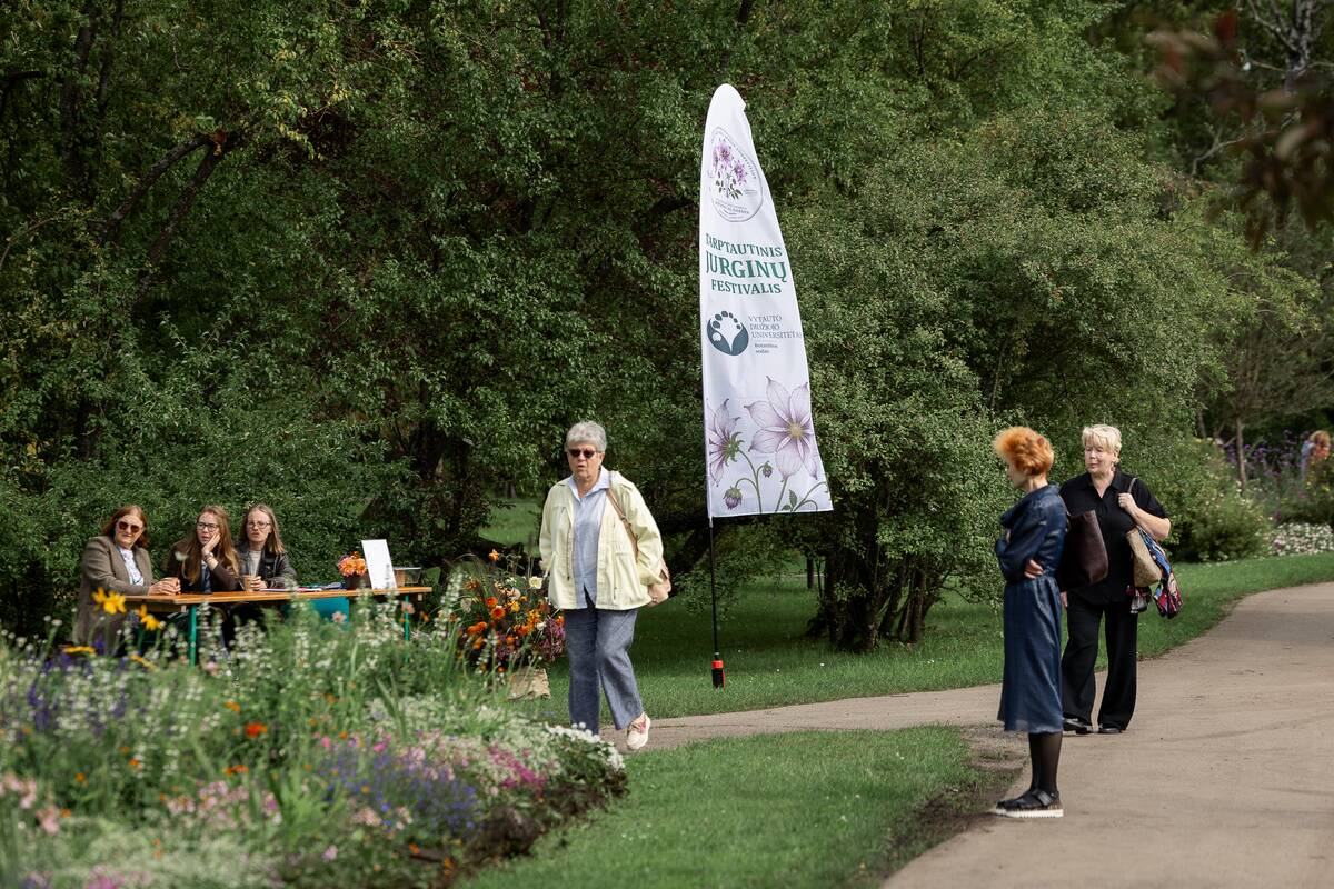 Tarptautinis jurginų festivalis ir konkursas Kaune
