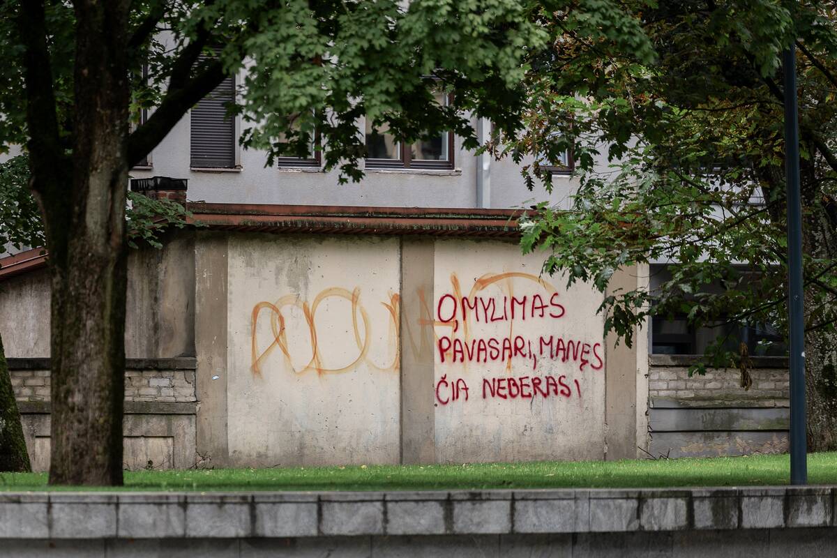 Kauniečių diena (2026-09-04)