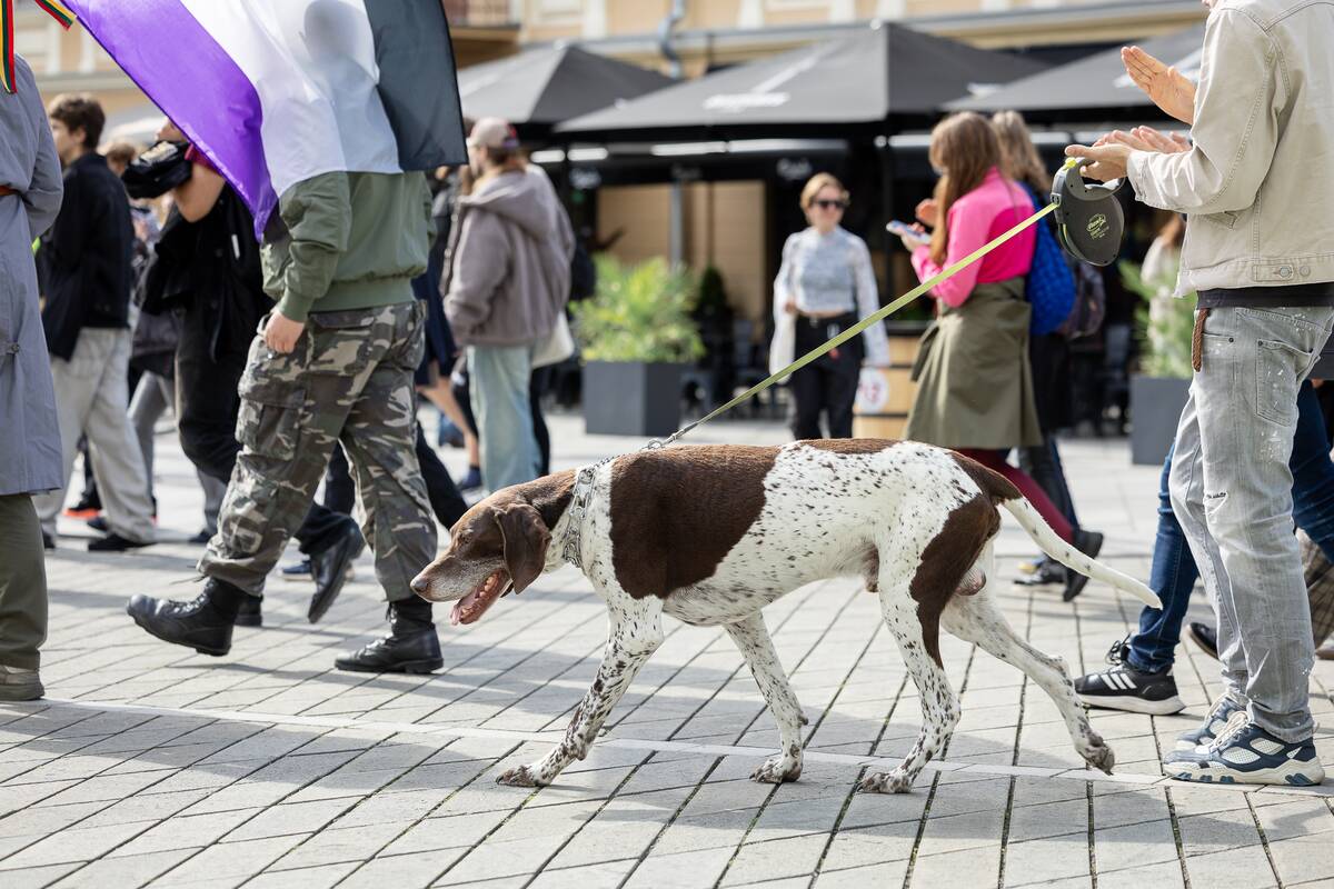 „Kaunas Pride“ eitynės