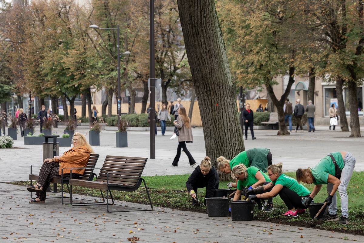 Kauniečių diena (2026-09-14)