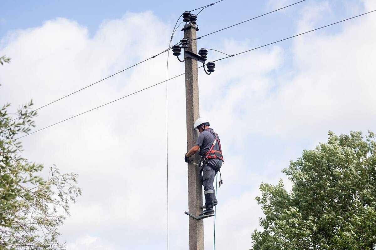 
<span>Pranešė, kiek ESO klientų po audros vis dar neturi elektros</span>
