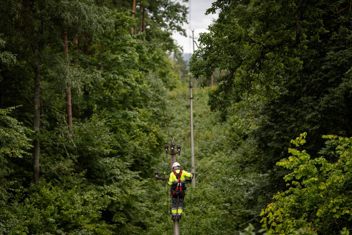 
<span>Po praūžusios audros – kaltųjų paieškos</span>

