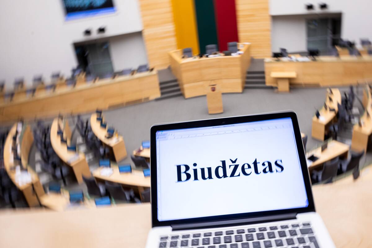 
<span>Biudžete – milijardinė skylė: kas laukia gyventojų?</span>
