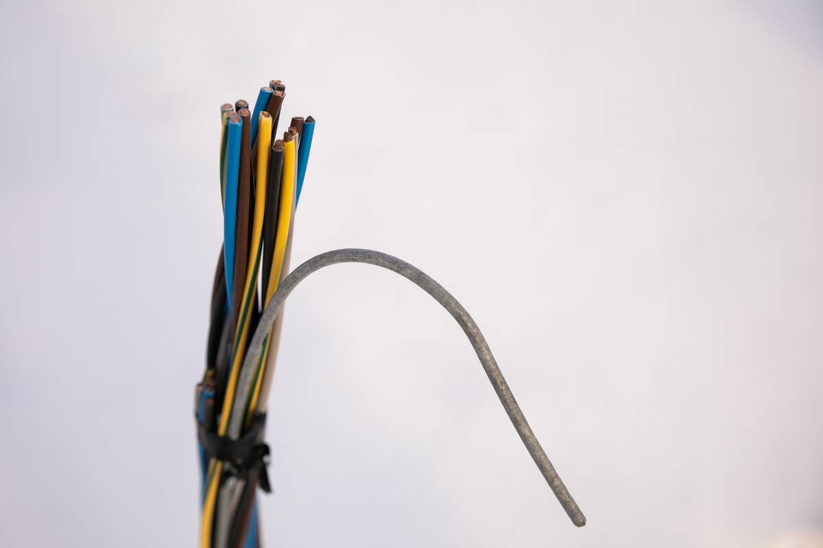 
<span>Areštinėje vyras nuplėšė elektros laidus</span>
