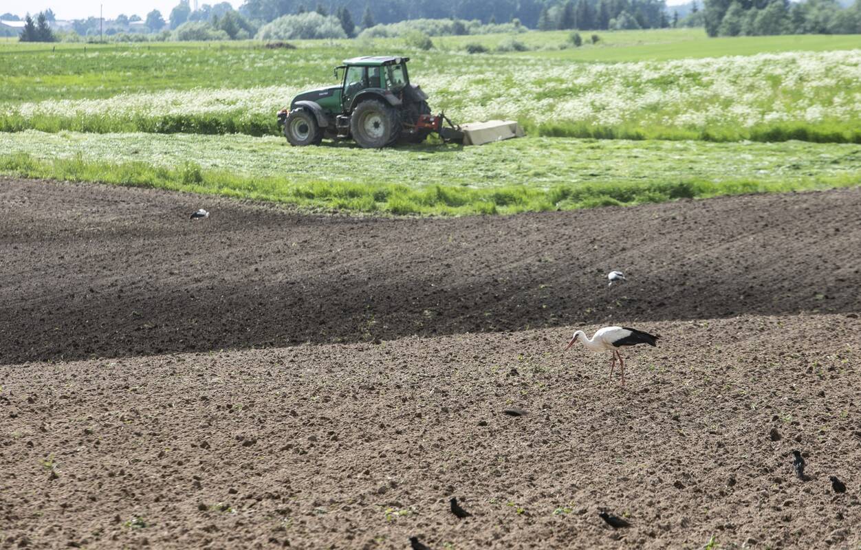 
<span>ŽŪM: didžioji dalis 20 mln. eurų paramą pasidalysiančių ūkių – maži ir vidutiniai</span>
