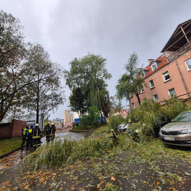 Klaipėdos Liepų gatvėje ant automobilių užvirto medis