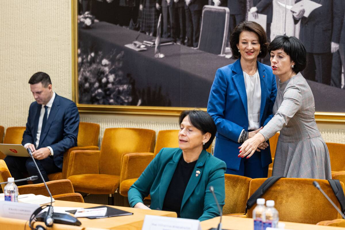 Seimo ir Pasaulio lietuvių komisijos posėdis