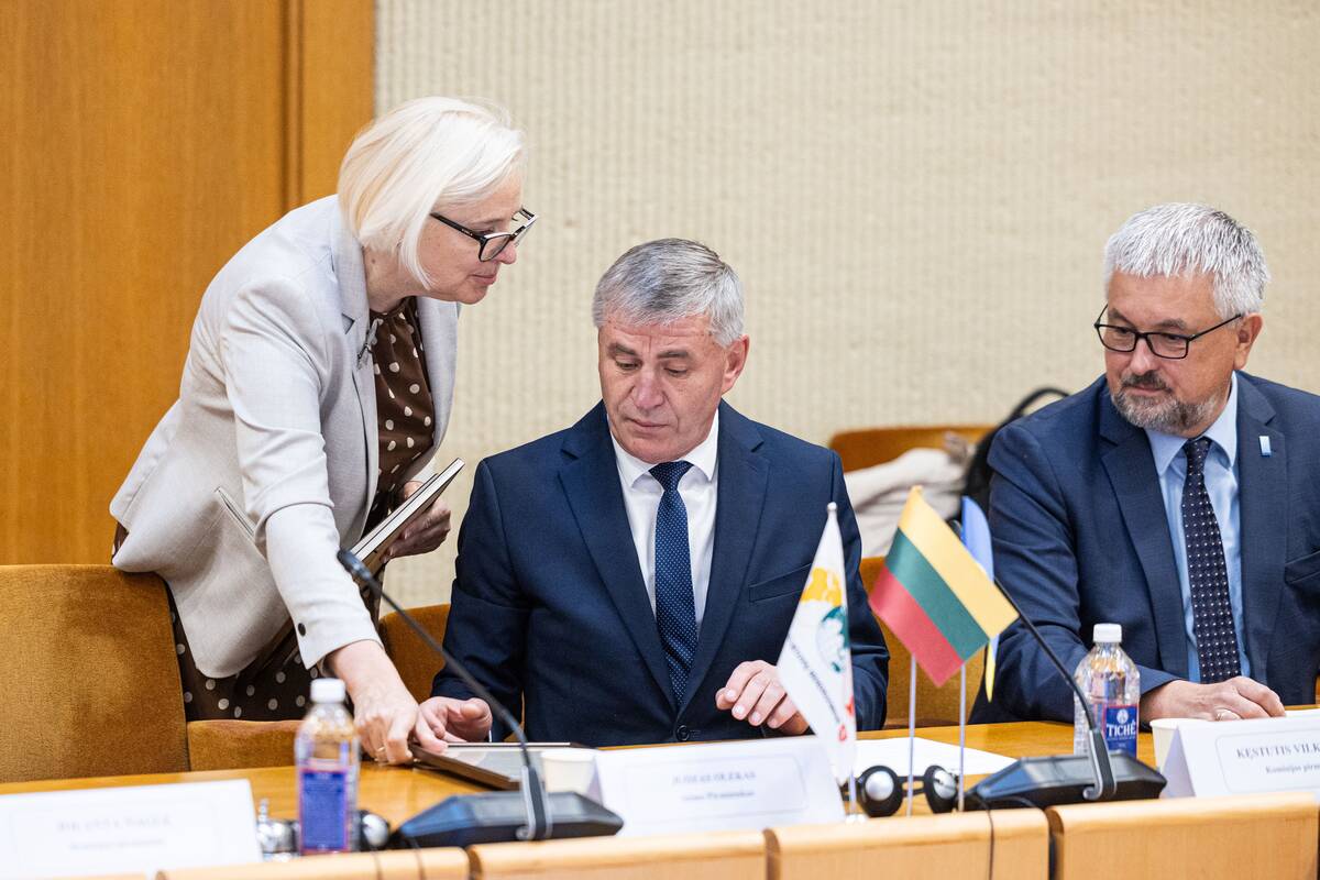 Seimo ir Pasaulio lietuvių komisijos posėdis
