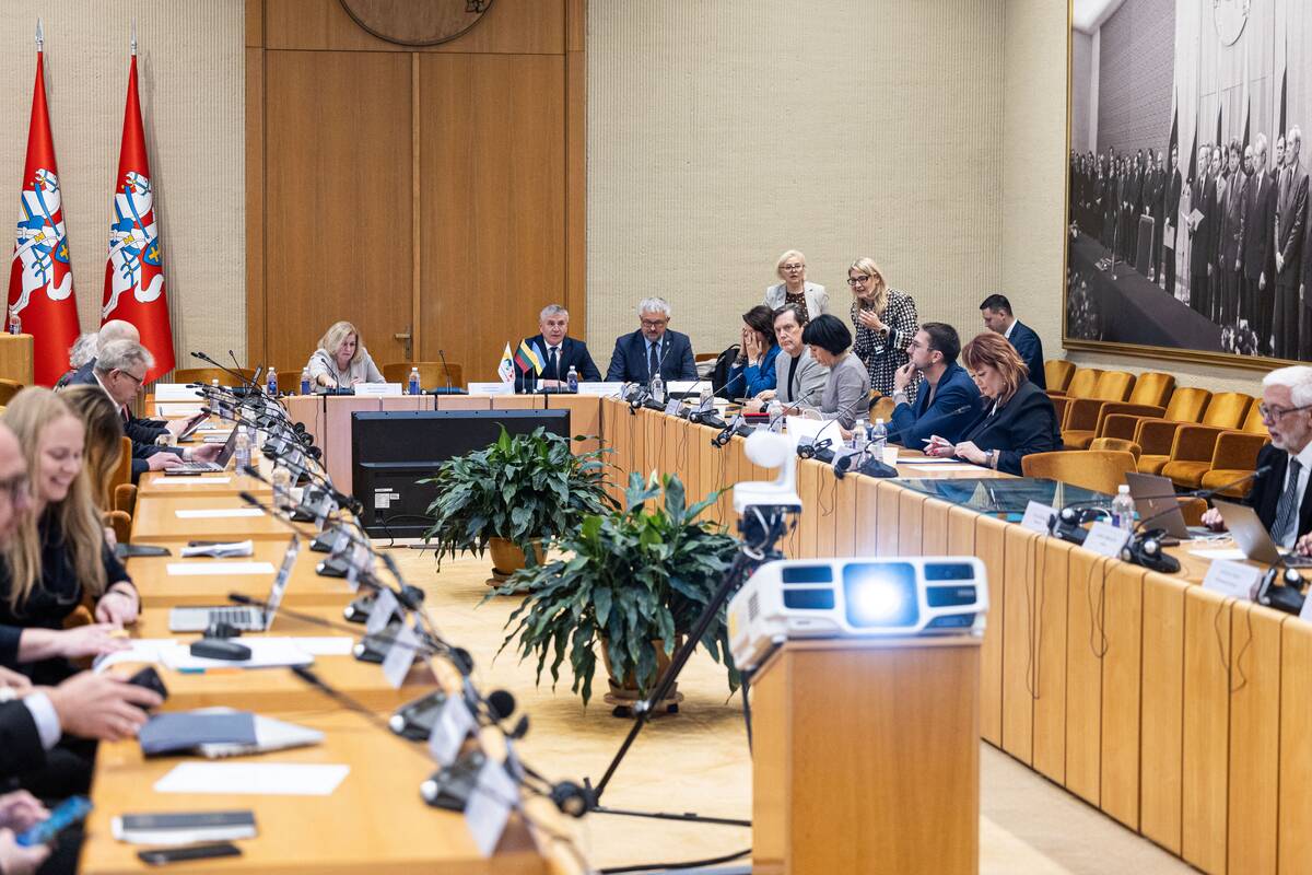 Seimo ir Pasaulio lietuvių komisijos posėdis