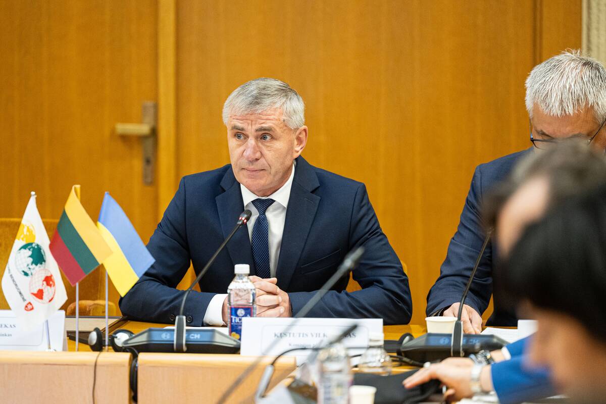 Seimo ir Pasaulio lietuvių komisijos posėdis