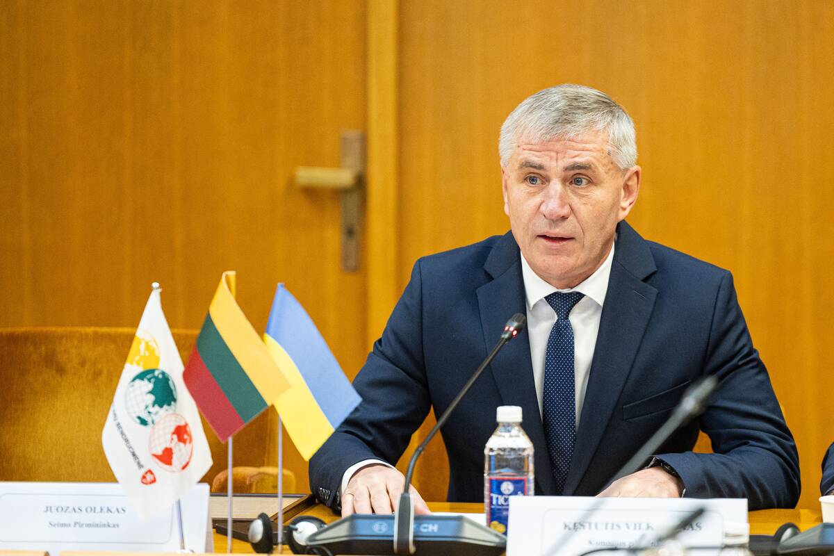 Seimo ir Pasaulio lietuvių komisijos posėdis