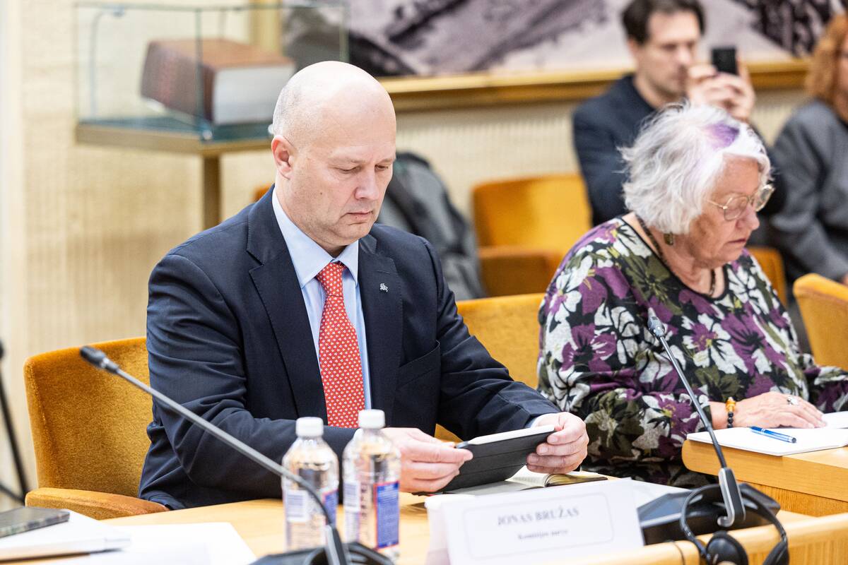 Seimo ir Pasaulio lietuvių komisijos posėdis