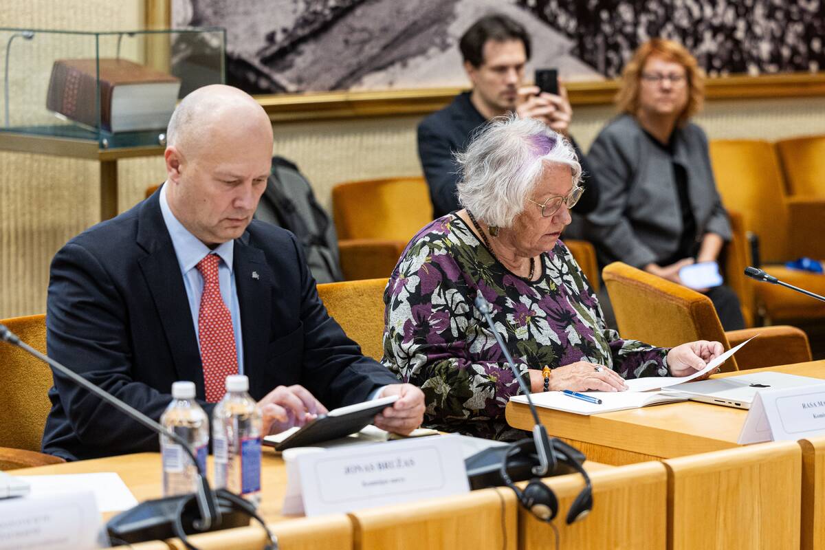 Seimo ir Pasaulio lietuvių komisijos posėdis
