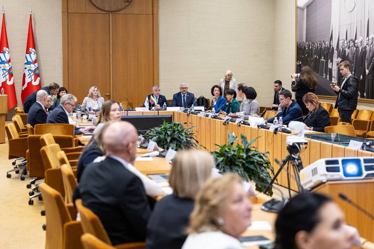 Seimo ir Pasaulio lietuvių komisijos posėdis